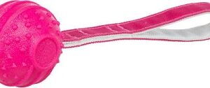 TRIXIE PELOTA CON CORREA ROSA 27cm